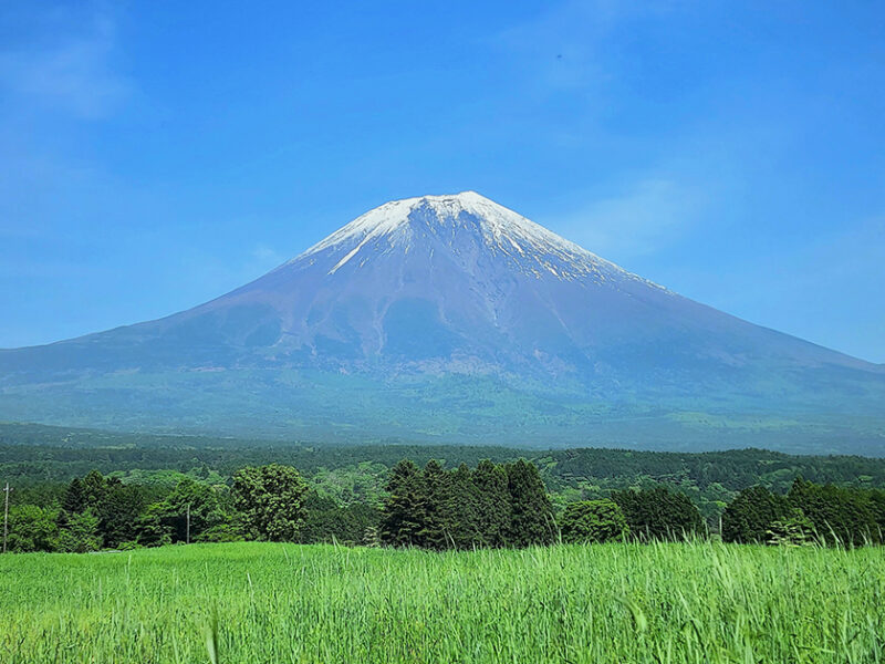 富士山の美しさの秘密は“石”にあり